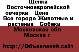 Щенки Восточноевропейской овчарки › Цена ­ 25 000 - Все города Животные и растения » Собаки   . Московская обл.,Москва г.